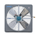 Fan with rear screen