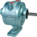 Vane Air Motor